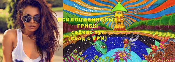 ПСИЛОЦИБИНОВЫЕ ГРИБЫ Алексеевка