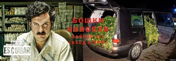 ПСИЛОЦИБИНОВЫЕ ГРИБЫ Алексеевка