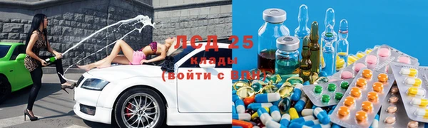 ПСИЛОЦИБИНОВЫЕ ГРИБЫ Алексеевка