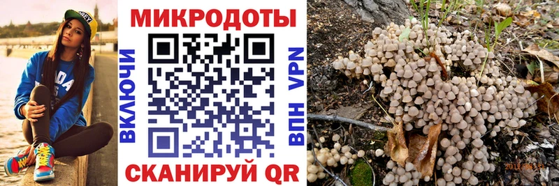 где можно купить наркотик  KRAKEN сайт  Галлюциногенные грибы мухоморы  Арамиль 